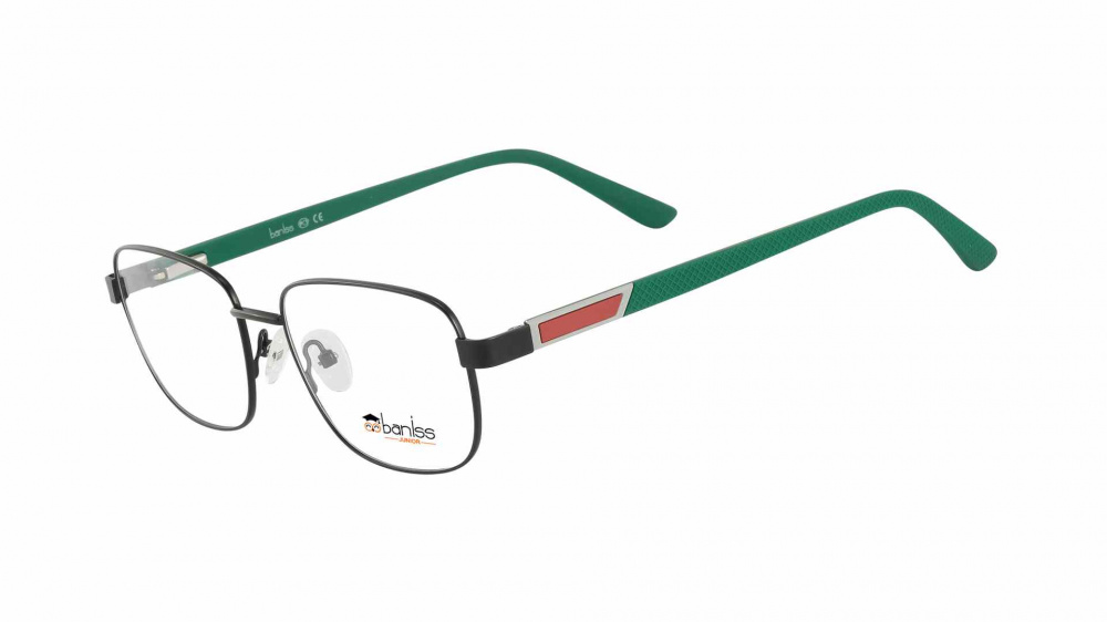 Baniss BR6064 C01