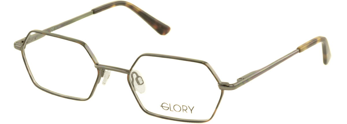 Glory 831 gun